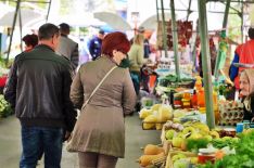 green market_palic_1
